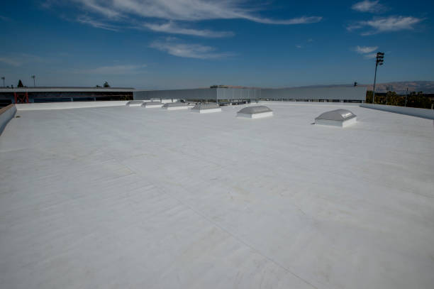 Best Steel Roofing  in Salida, CA