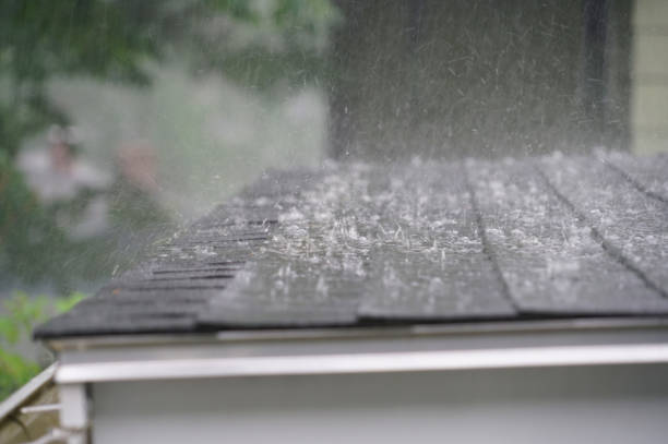 Best Skylight Installation and Repair  in Salida, CA